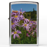 Purple Aster Flowers at Mount Rainier Zippo Lighter