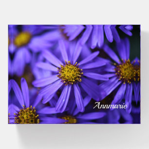 Purple Aster Flowers at RHS Garden Wisley Paperweight