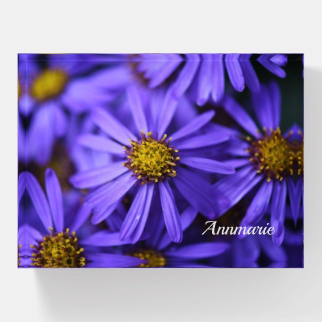 Purple Aster Flowers at RHS Garden Wisley Paperweight (Front)