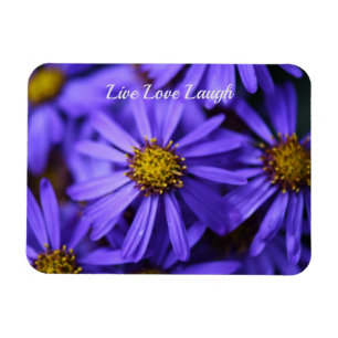 Purple Aster Flowers at RHS Garden Wisley Thinking Magnet