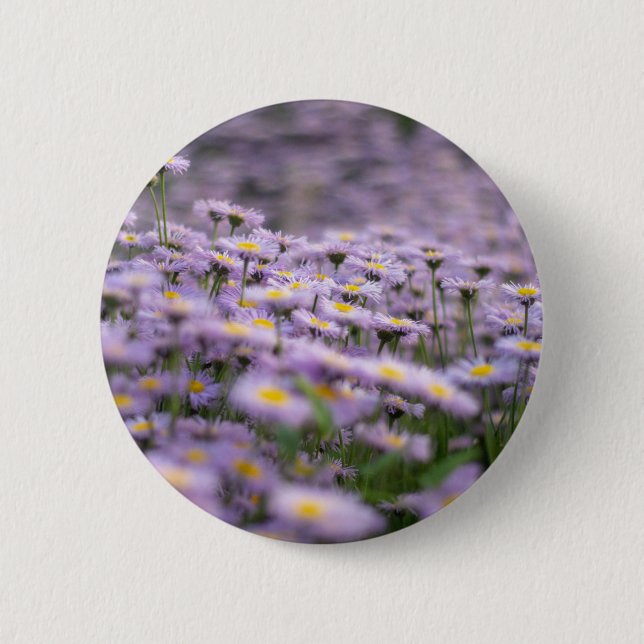 Purple Aster Flowers Button (Front)