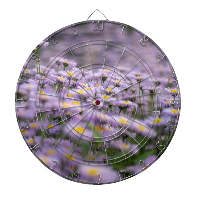 Purple Aster Flowers Dart Board (Front)
