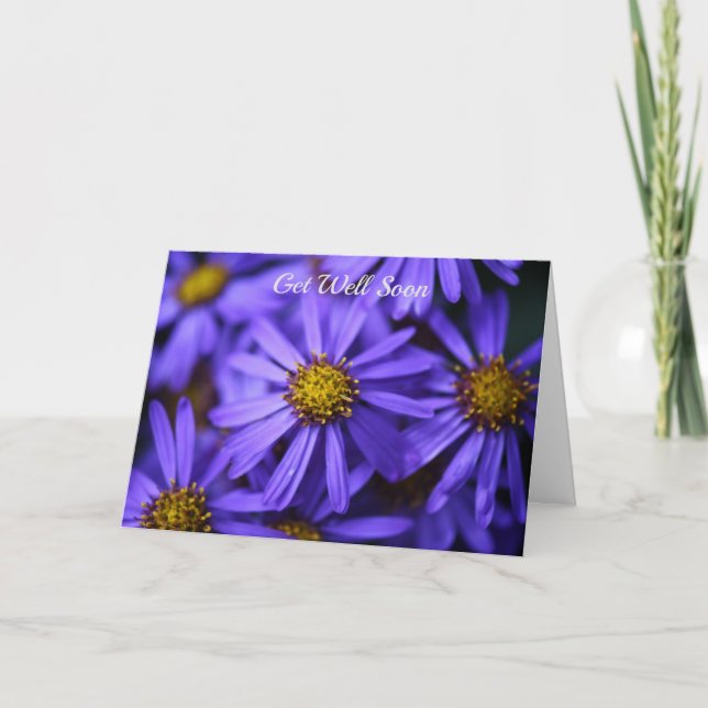 Purple Aster Flowers Wisley Gardens Get Well Soon Card (Front)