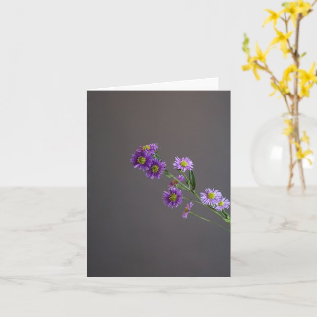 Purple Aster Greeting Card (Yellow Flower)
