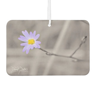 Purple Aster in Selective Color Air Freshener