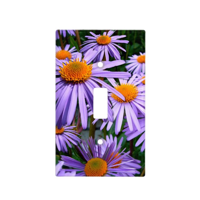 Purple Asters Light Switch Cover (Front)