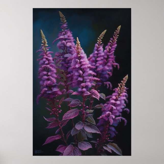 Purple Astilbe Flower Art Print Poster (Front)
