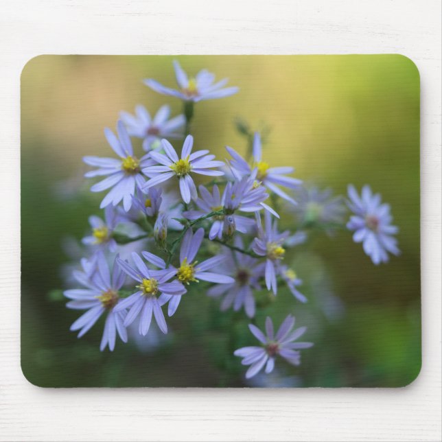 Purple Autumn Asters Floral Wildflower Mousepad (Front)