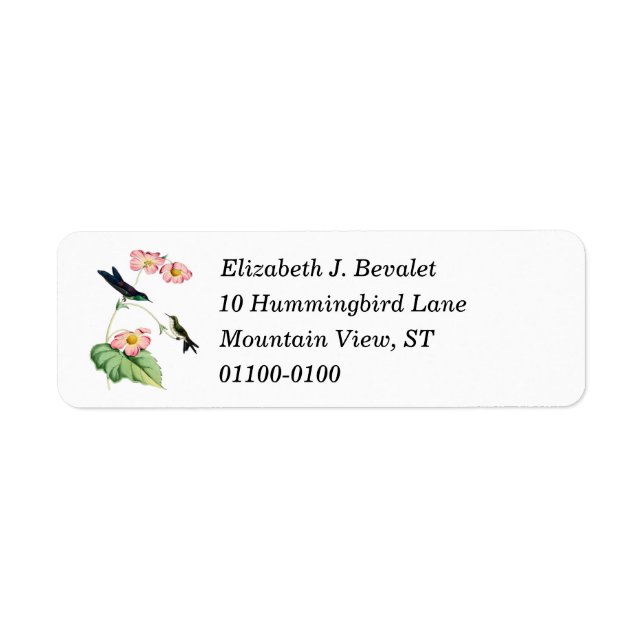 Purple Backed Hummingbird Return Address Labels (Front)