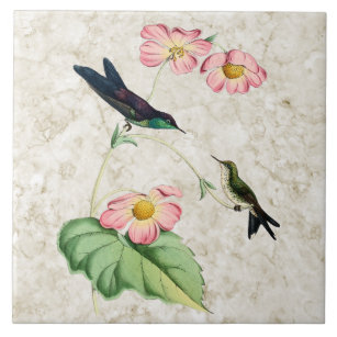 Purple Backed Thornbill Hummingbird Ceramic Tile