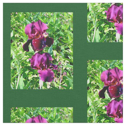 Purple Bearded Iris Fabric