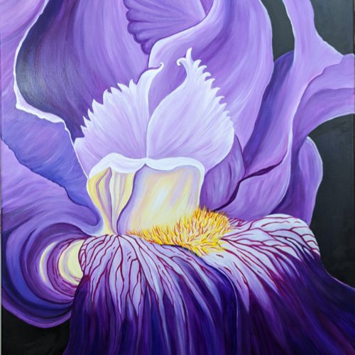 Purple Bearded Iris Fine Art Print Uncommon Google Pixel Case