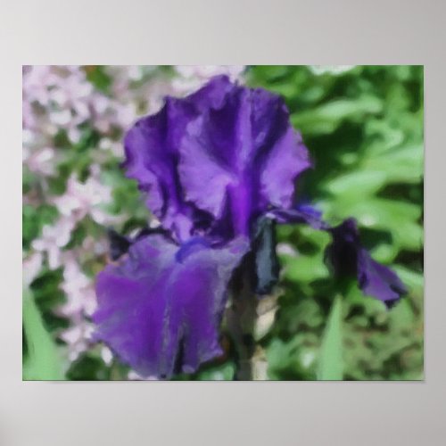 Purple Bearded Iris Flower Art Photo Painting Poster