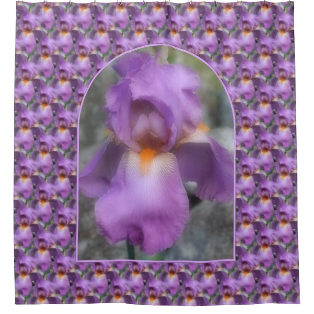 Purple Bearded Iris Flower Nature Pattern Shower Curtain (Front)