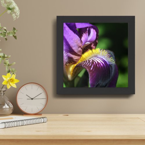 Purple Bearded Iris Flower Petal Framed Framed Art