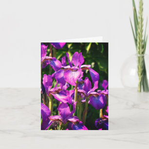 Purple Bearded Iris Flowers Customizable Note Card