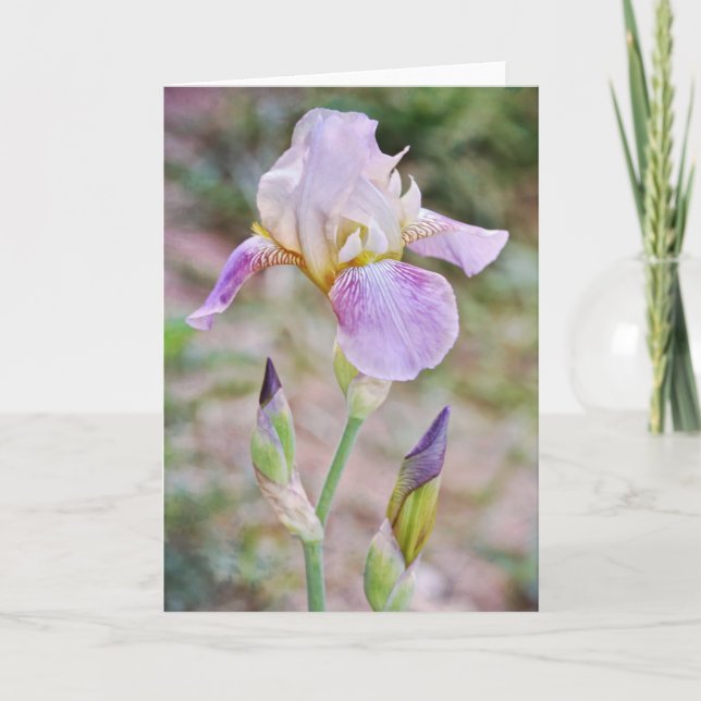 Purple Bearded Iris Flowers Floral Note Card (Front)