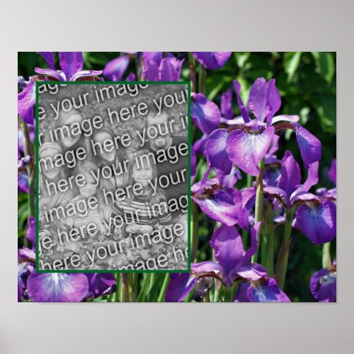 Purple Bearded Iris Flowers Frame Add Your Photo Poster