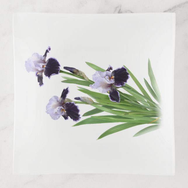 Purple Bearded Iris Flowers Trinket Tray (Front)