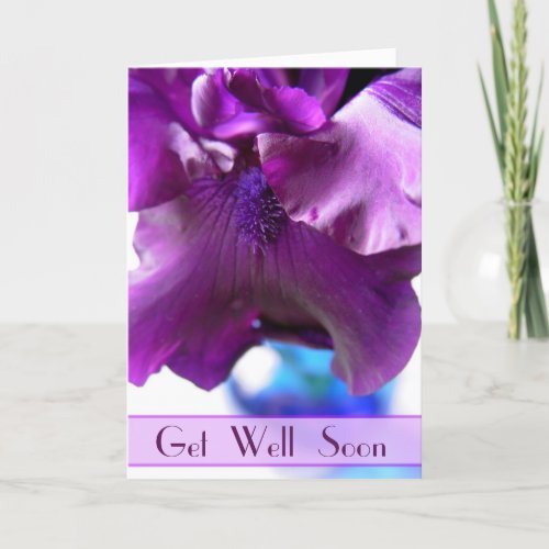 Purple Bearded Iris Get Well Soon Card