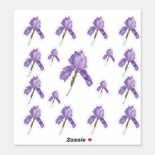 Purple Bearded Iris in Assorted Sizes Sticker