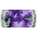 Purple Bearded Iris License Plate