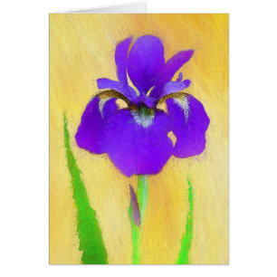 Purple Bearded Iris Painting - Cute Original Dog A Cards