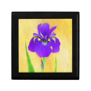 Purple Bearded Iris Painting - Cute Original Dog A Gift Box