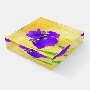 Purple Bearded Iris Painting - Cute Original Dog A Paperweight