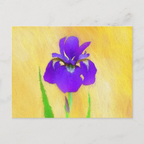 Purple Bearded Iris Painting _ Cute Original Dog A Postcard