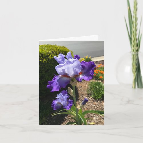 Purple Bearded Iris Personalized Greeting Card