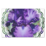 Purple Bearded Iris Tissue Paper