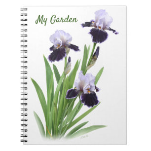 Purple Bearded Iris Trio Personalized Notebook