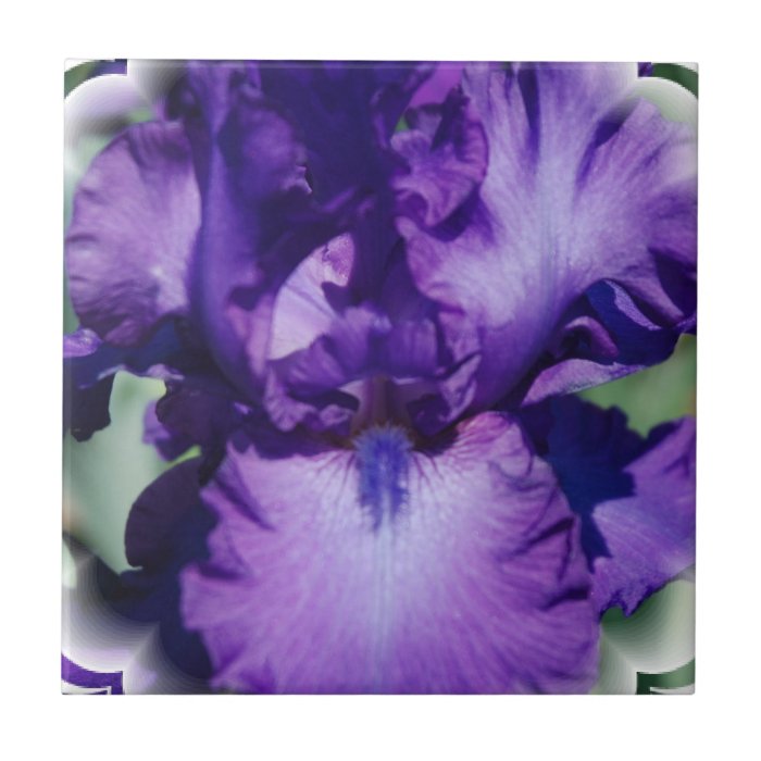 Purple Bearded Iris Trivet Ceramic Tile