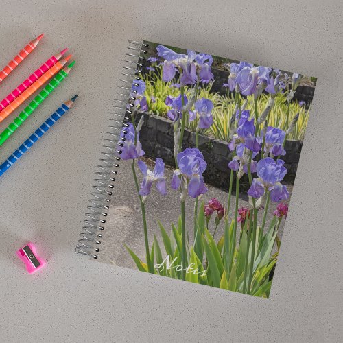 Purple Bearded Irises Floral Notebook