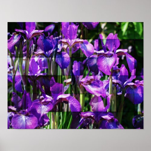 Purple Bearded Irises Through Glass Flower Poster