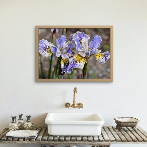 Purple Beardless Irises Floral Photo Print