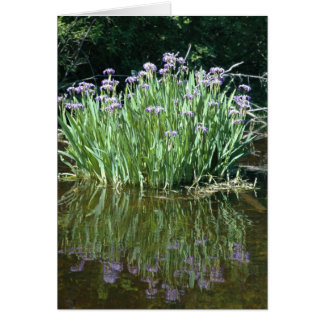 PURPLE BEAUTY CARDS
