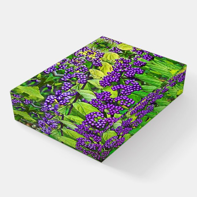 PURPLE BEAUTYBERRY BUSH/BRIGHT PURPLE BERRIES PAPERWEIGHT (Angled)