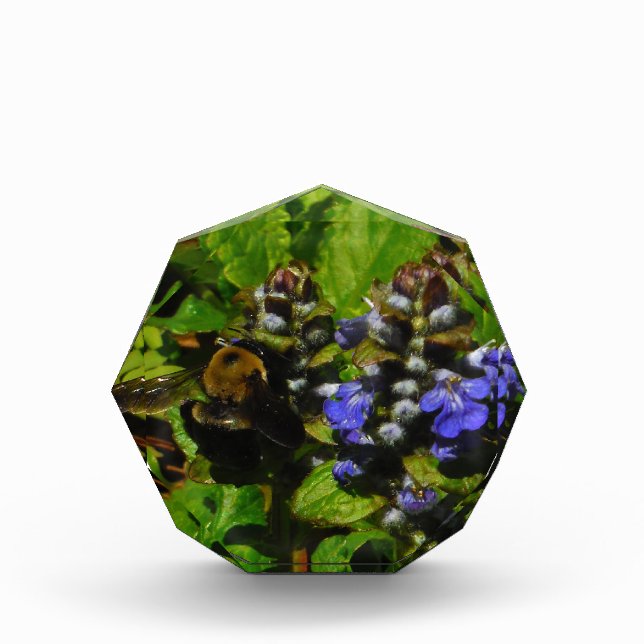Purple Bee Balm and Bumble Bee Acrylic Award (Front)