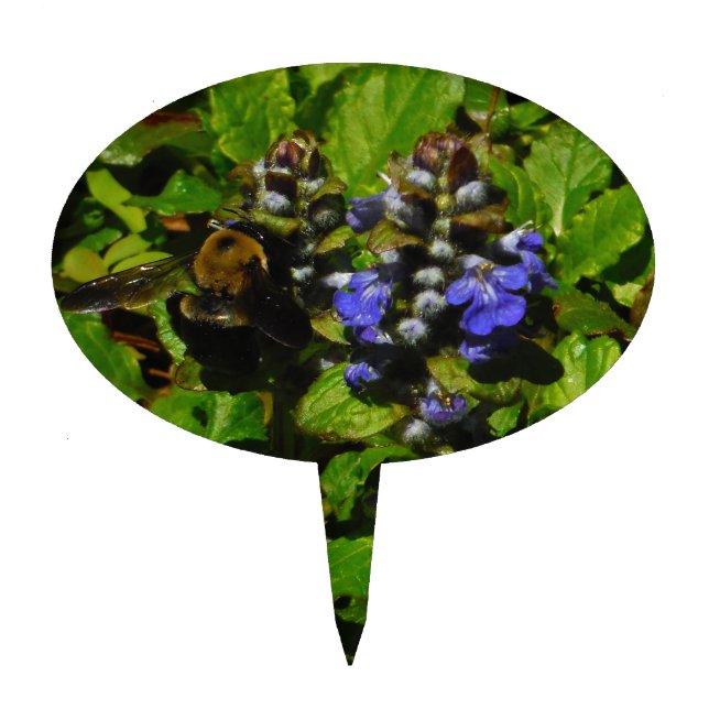 Purple Bee Balm and Bumble Bee Cake Topper (Front)