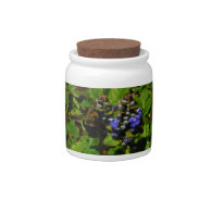 Purple Bee Balm and Bumble Bee Candy Jar