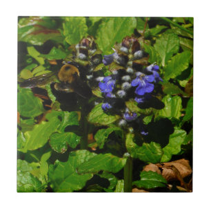 Purple Bee Balm and Bumble Bee Ceramic Tile