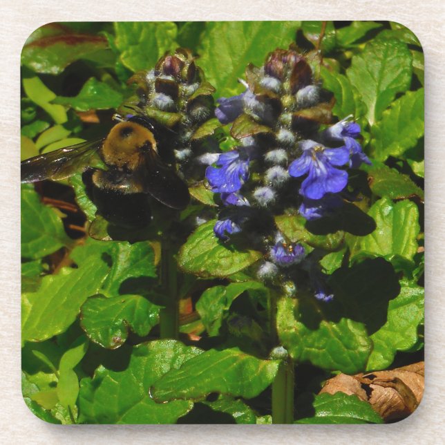 Purple Bee Balm and Bumble Bee Coaster (Front)