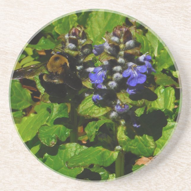 Purple Bee Balm and Bumble Bee Drink Coaster (Front)