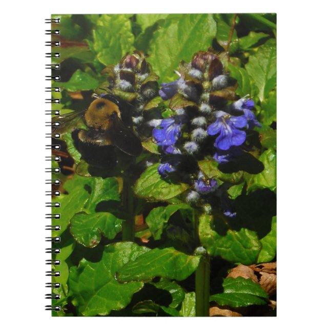 Purple Bee Balm and Bumble Bee Notebook (Front)