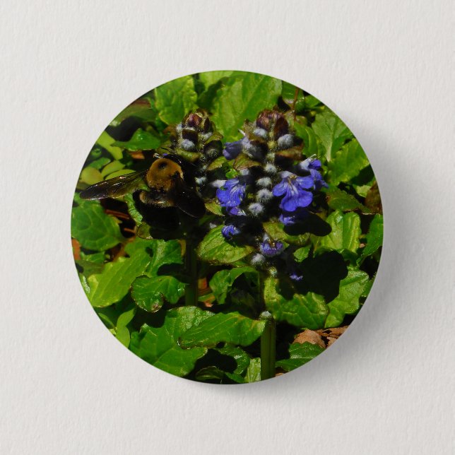 Purple Bee Balm and Bumble Bee Pinback Button (Front)