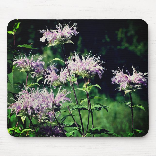 Purple Bee Balm Flowers Mouse Pad (Front)
