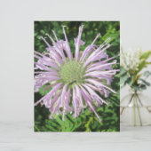 Purple Bee Palm (Standing Front)