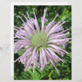 Purple Bee Palm (Front/Back)